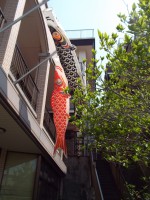 鯉のぼりがお出迎え①