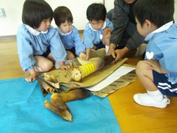 たけのこの皮をむいてみました①