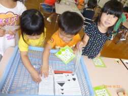 どれにしようかな！？