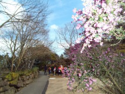お別れ遠足⑮