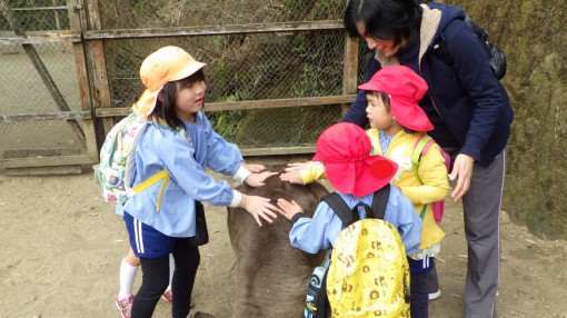 お別れ遠足④