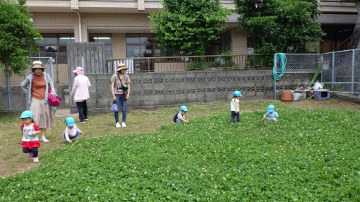 パピー　外あそび