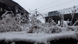 一面の雪景色③