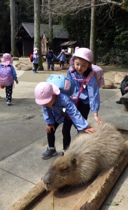 カピバラをなでなで