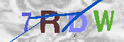キャプチャ画像