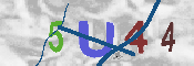 キャプチャ画像