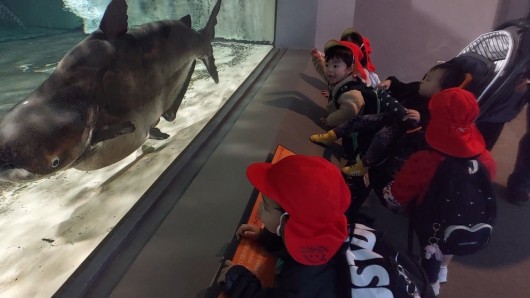 VideoCapture_20260116-150859