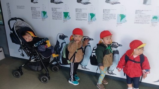 VideoCapture_20260116-151046