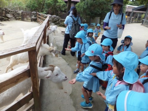 動物へ、エサやり体験