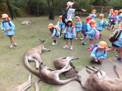 カンガルーに餌やり