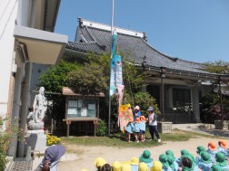 こいのぼりを揚げています！